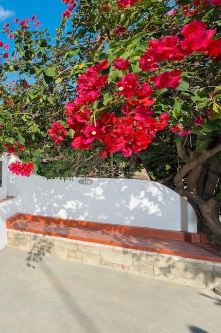 Greek Style Ground Floor Apartment & Pool Ялисос Екстериор снимка