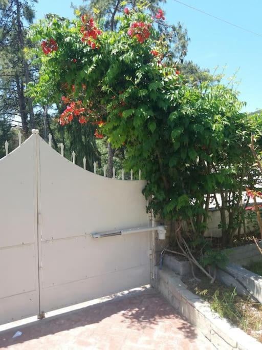 Greek Style Ground Floor Apartment & Pool Ялисос Екстериор снимка